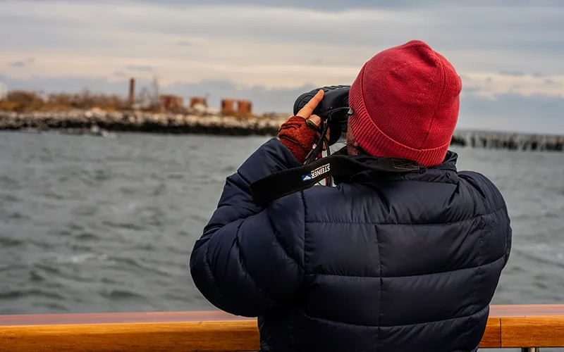 NYC Eco Tours - Urban Naturalist Tour: Winter Wildlife | Classic