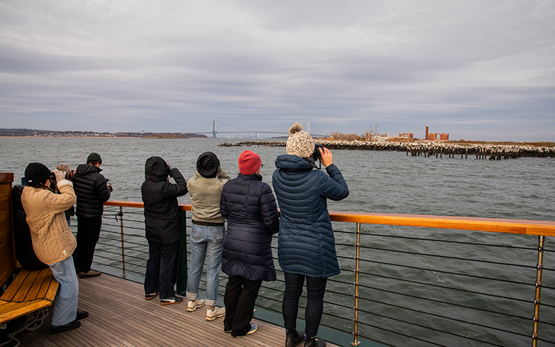 NYC Eco Tours - Urban Naturalist Tour: Winter Wildlife | Classic